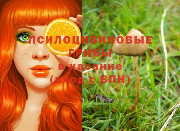 стафф Алексеевка