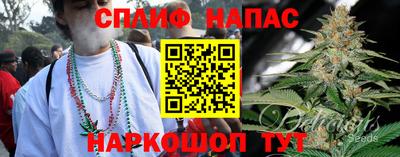 прущие грибы Гатчина