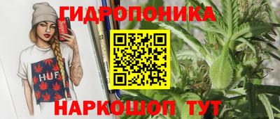 прущие грибы Гатчина