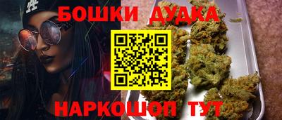 прущие грибы Гатчина