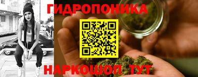 прущий лед Гай