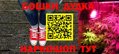 прущие грибы Гатчина