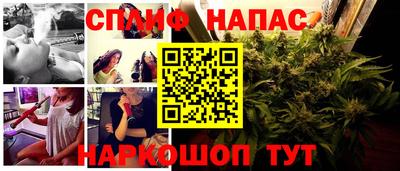 прущие грибы Гатчина