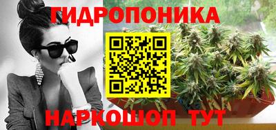 прущий лед Гай