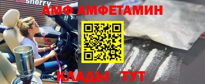 прущие грибы Гатчина