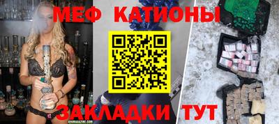 прущие грибы Гатчина